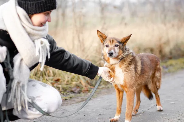 Oddam psa, Włocławek, Śródmieście, 16 lutego 2025 (2/5)