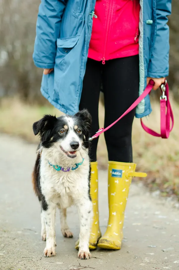 Oddam psa, Warszawa, Szczęśliwice, 16 lutego 2025 (2/5)