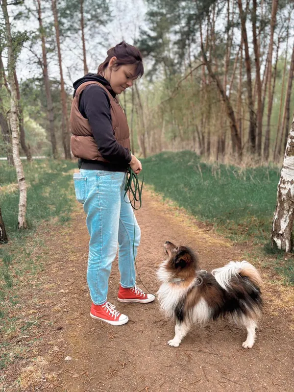 Znaleziono psa, Dobra, 18 lutego 2025 (3/3)