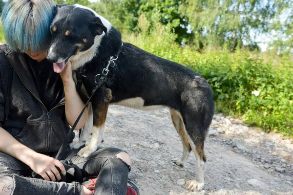 Oddam psa, Warszawa, Pelcowizna, 20 lutego 2025 (4/5)