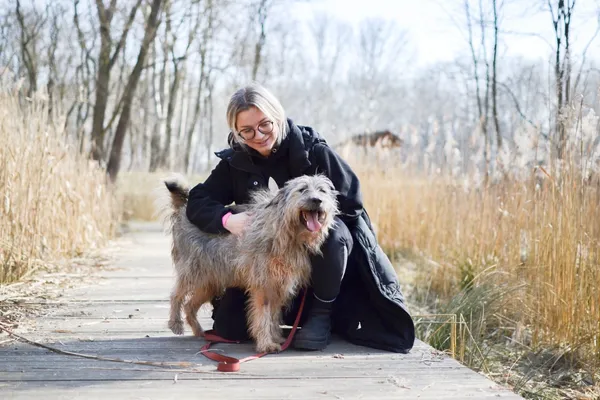 Znaleziono psa, Sosnowiec, 20 lutego 2025 (4/5)