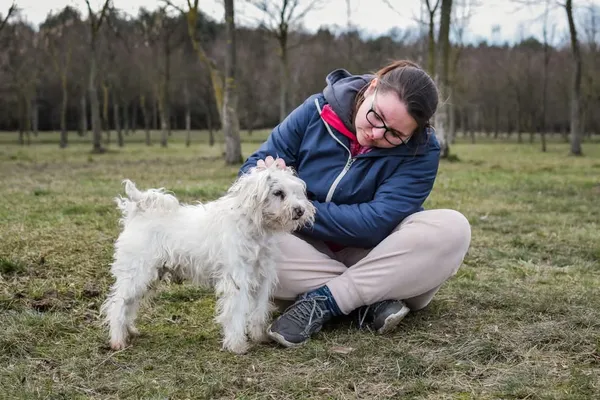 Pies do adopcji, Radom, 26 lutego 2025 (3/5)