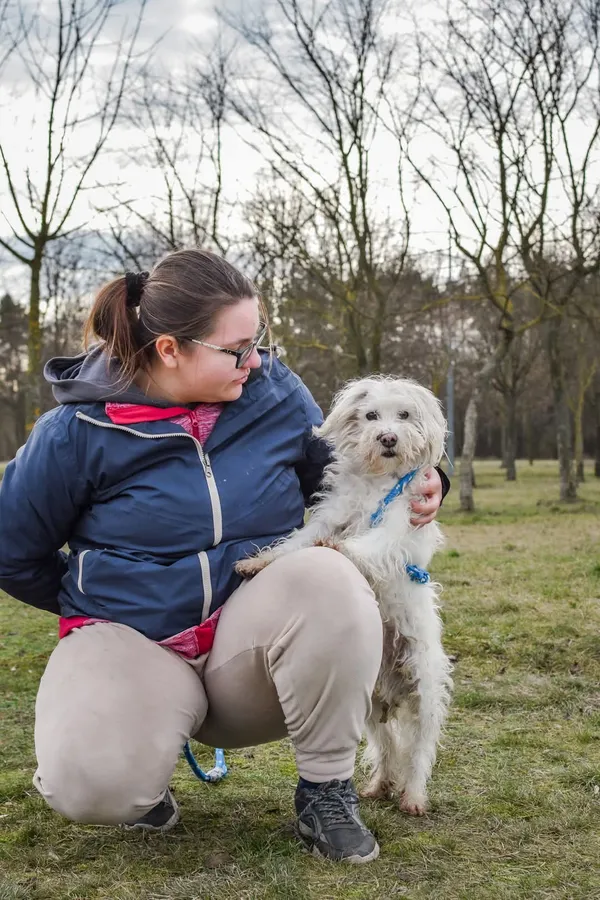 Pies do adopcji, Radom, 26 lutego 2025 (5/5)