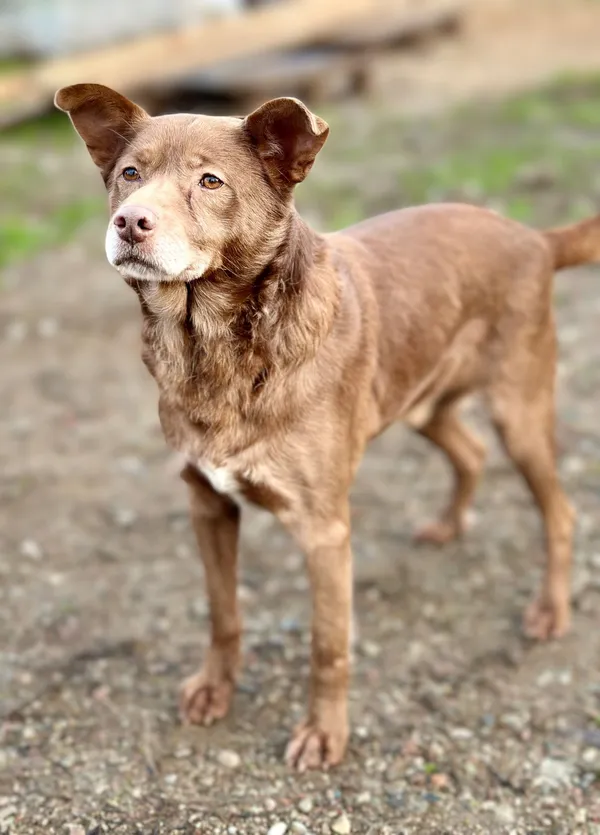 Oddam psa, Gdynia, Wielki Kack, 27 lutego 2025 (1/4)