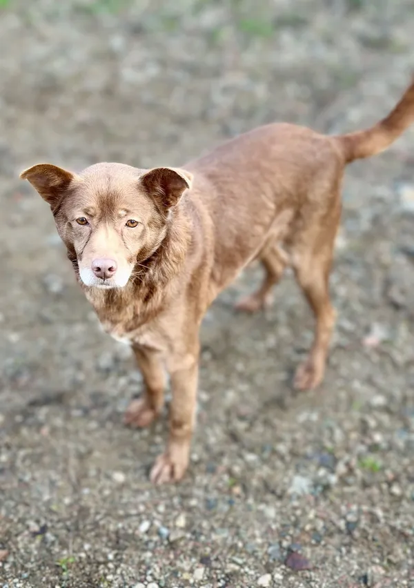 Oddam psa, Gdynia, Wielki Kack, 27 lutego 2025 (3/4)