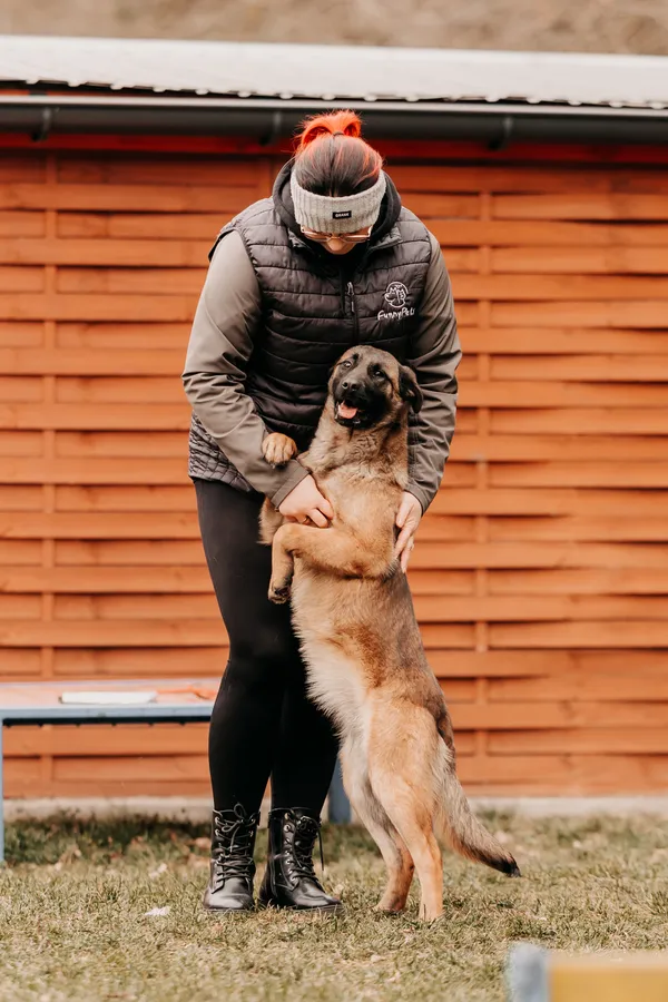 Pies do adopcji, Czartki, 28 lutego 2025 (2/4)