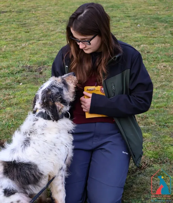 Pies do adopcji, Grudziądz, 15 stycznia 2022 (4/5)