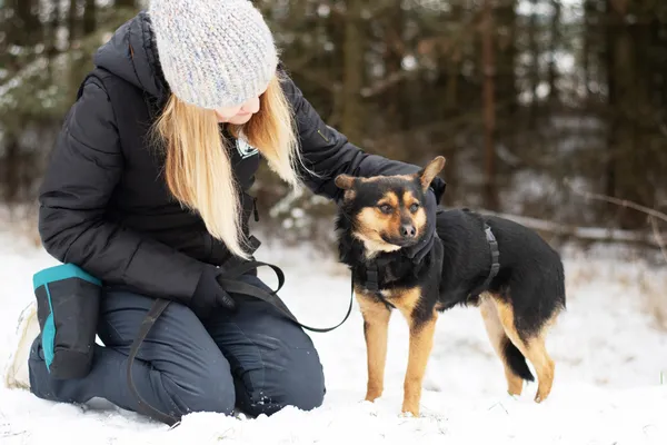 Pies do adopcji, Nowodwór, 28 lutego 2025 (5/5)