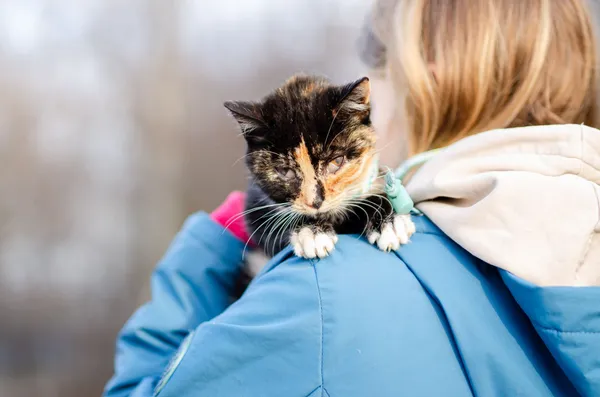 Oddam kota, Sopot, 4 marca 2025 (5/5)