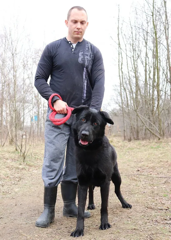 Znaleziono psa, Łódź, 5 marca 2025 (5/5)