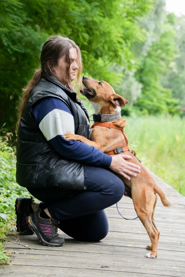 Znaleziono psa, Sosnowiec, 4 marca 2025 (3/5)