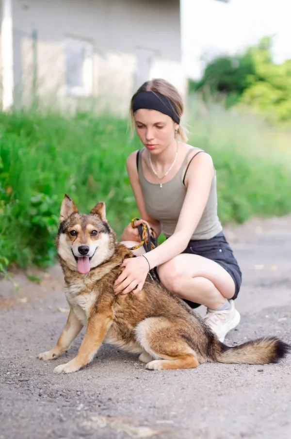 Oddam psa, Gdańsk, Młyniska, 8 marca 2025 (4/5)