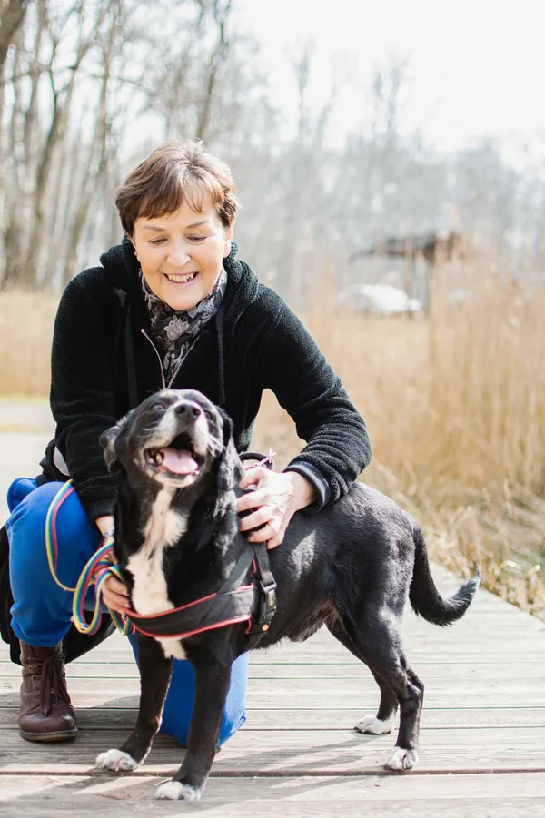 Znaleziono psa, Sosnowiec, 10 marca 2025 (1/5)