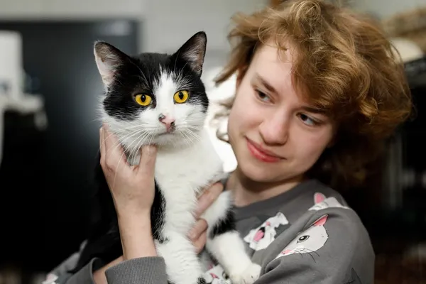 Kot do adopcji, Elbląg, 11 marca 2025 (5/5)