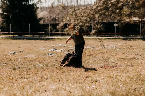 Pies do adopcji, Czartki, 10 marca 2025 (4/5)