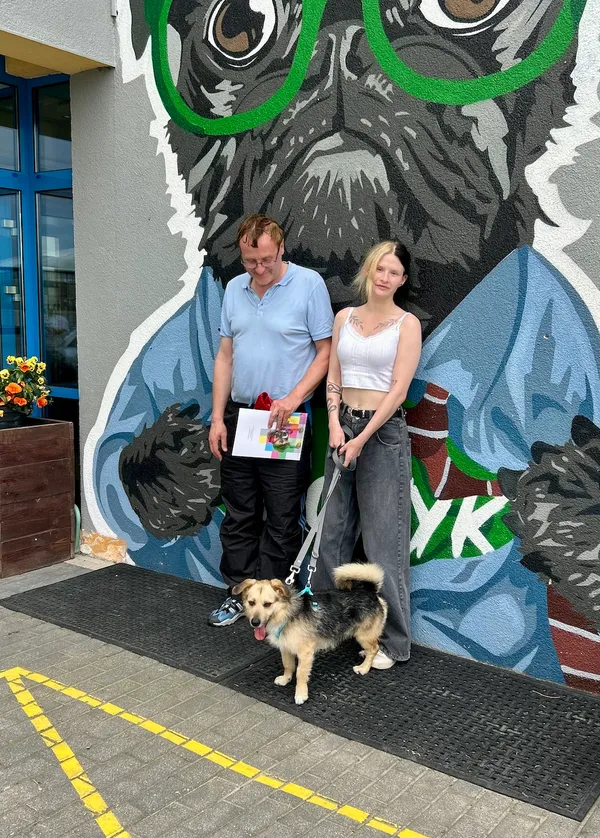 Pies do adopcji, Gdańsk, 3 czerwca 2025