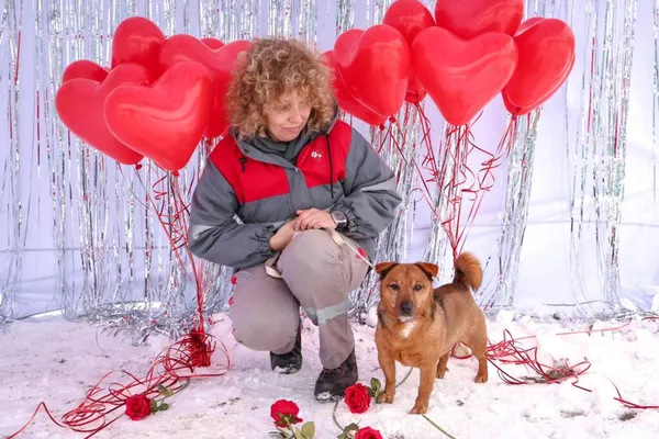 Pies do adopcji, Henrykowo, 7 października 2024 (4/5)