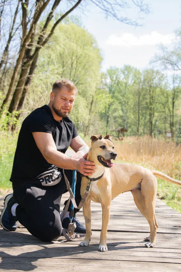 Znaleziono psa, Sosnowiec, 20 marca 2025 (2/5)