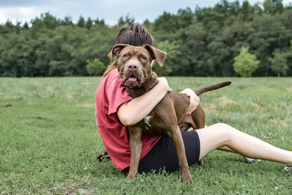 Pies do adopcji, Radom, 12 maja 2025 (3/3)