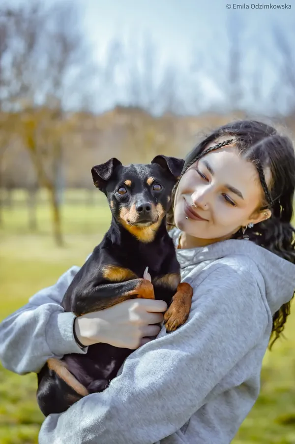 Pies do adopcji, Radom, 12 maja 2025 (3/5)