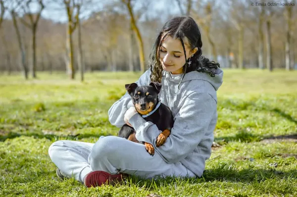 Pies do adopcji, Radom, 12 maja 2025 (4/5)