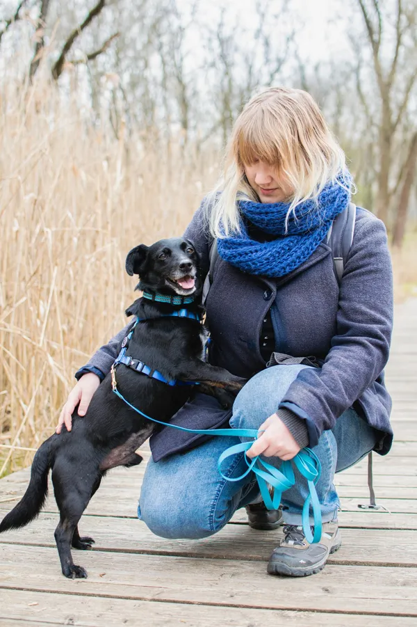 Znaleziono psa, Sosnowiec, 24 marca 2025 (2/5)