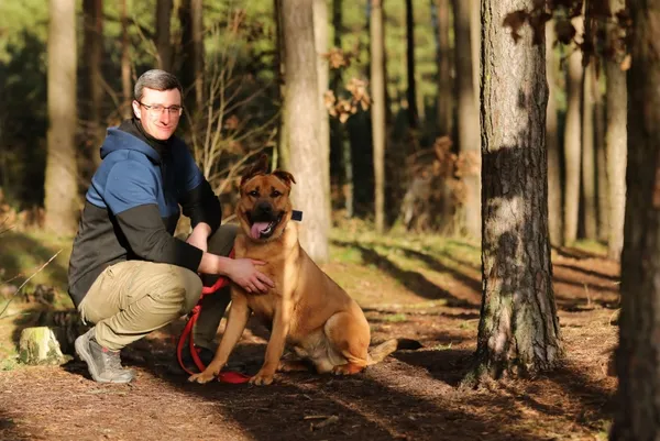 Pies do adopcji, Piła, 7 września 2023 (3/5)