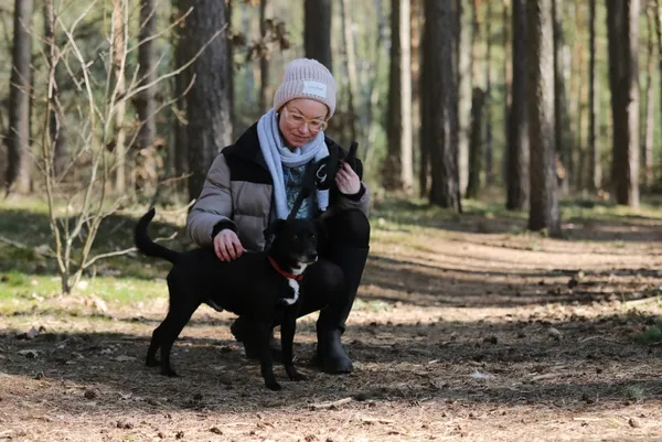 Pies do adopcji, Piła, 26 października 2024 (2/2)