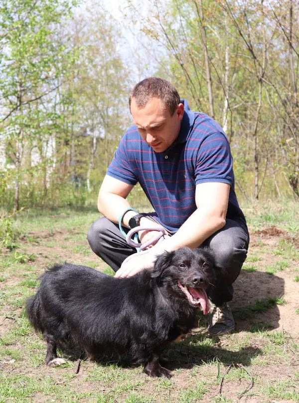 Znaleziono psa, Łódź, 30 marca 2025 (5/5)