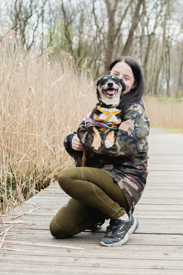 Znaleziono psa, Sosnowiec, 27 marca 2025 (2/5)