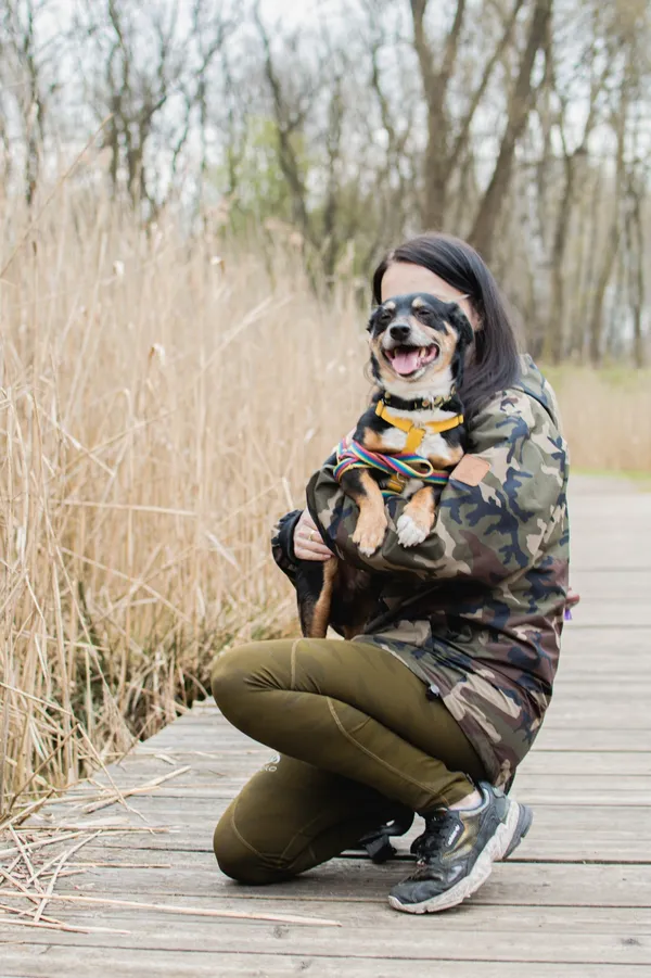 Znaleziono psa, Sosnowiec, 27 marca 2025 (5/5)