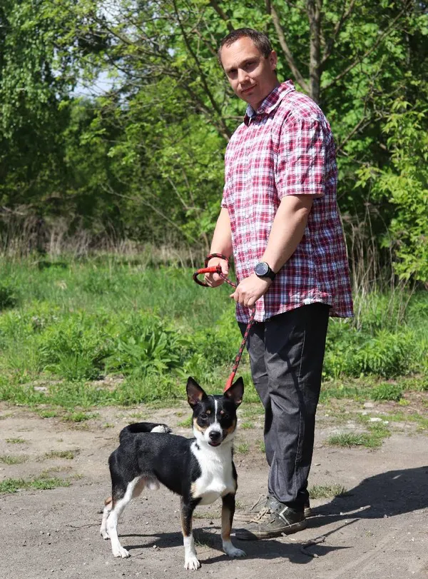 Znaleziono psa, Łódź, 2 kwietnia 2025 (4/5)