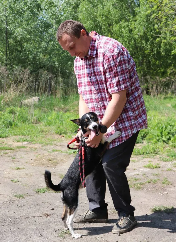 Znaleziono psa, Łódź, 2 kwietnia 2025 (5/5)