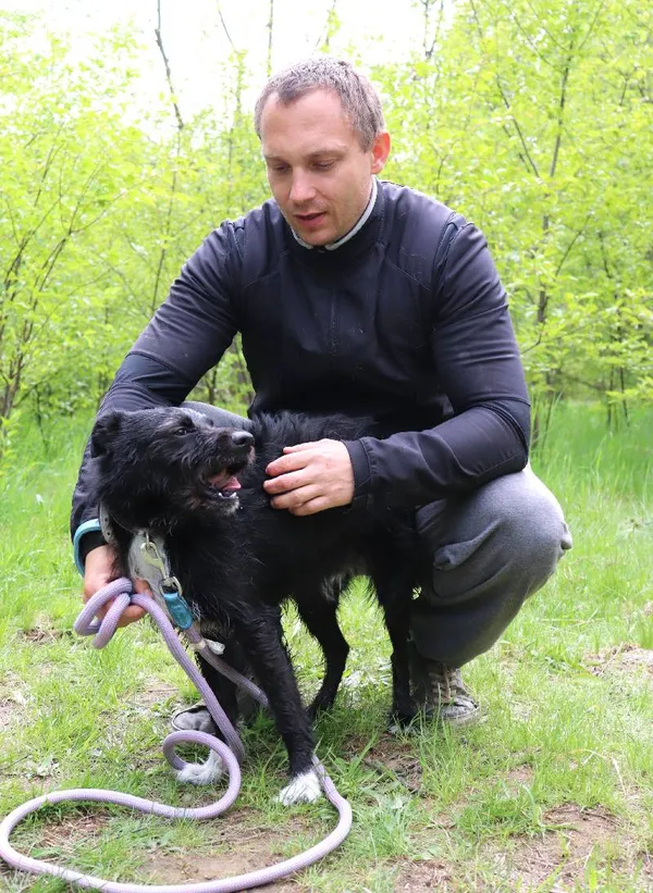 Znaleziono psa, Łódź, 6 kwietnia 2025 (4/5)