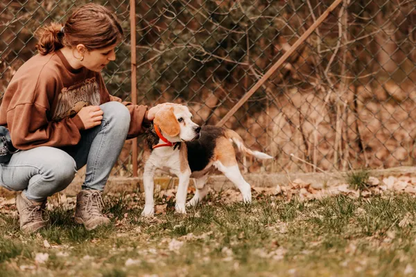 Pies do adopcji, Czartki, 8 kwietnia 2025 (5/5)