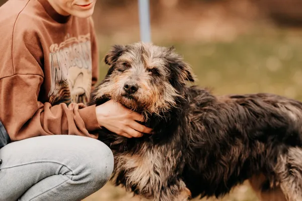 Pies do adopcji, Czartki, 9 kwietnia 2025 (5/5)