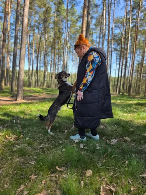 Pies do adopcji, Piła, 17 października 2022 (5/5)
