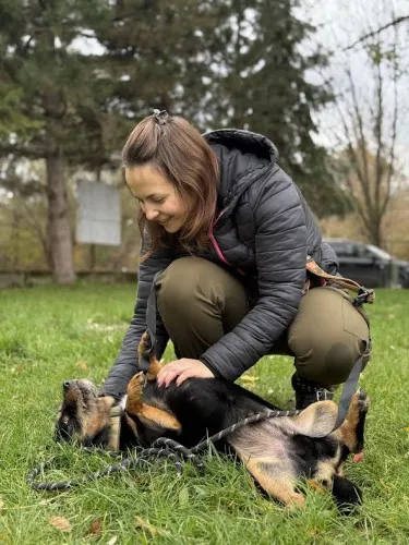 Pies do adopcji, Kraków, 31 marca 2025 (4/4)