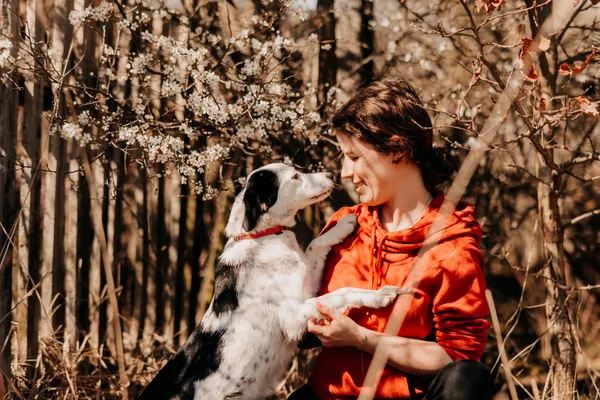 Pies do adopcji, Czartki, 18 kwietnia 2025 (1/5)