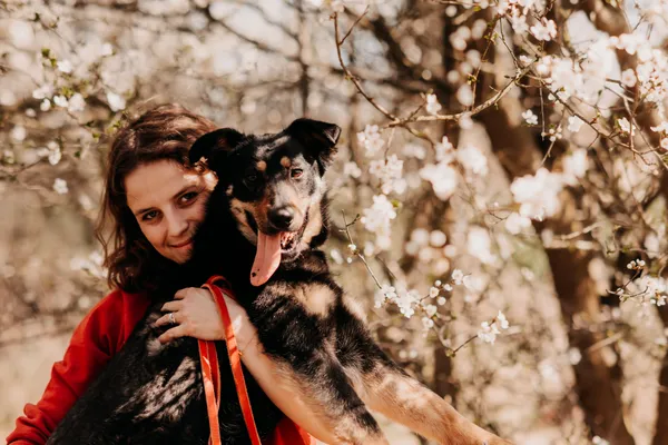 Pies do adopcji, Czartki, 18 kwietnia 2025 (3/5)