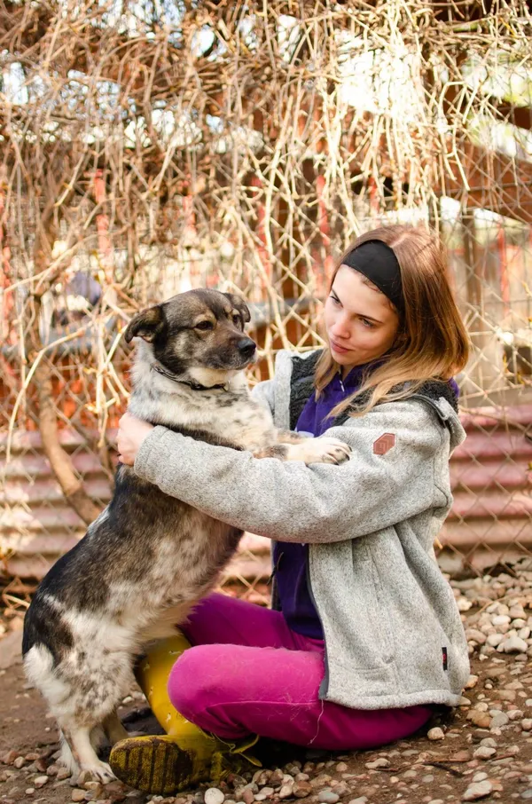 Oddam psa, Elbląg, Za Politechniką, 21 kwietnia 2025 (2/3)