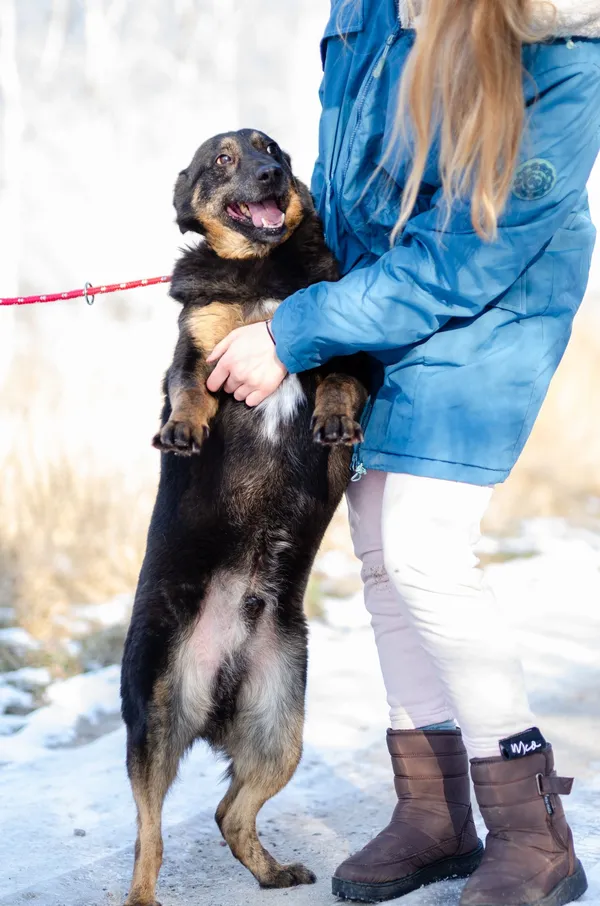 Oddam psa, Gdańsk, Osowa, 22 kwietnia 2025 (3/5)