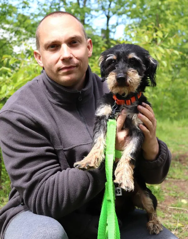 Znaleziono psa, Łódź, 23 kwietnia 2025 (5/5)