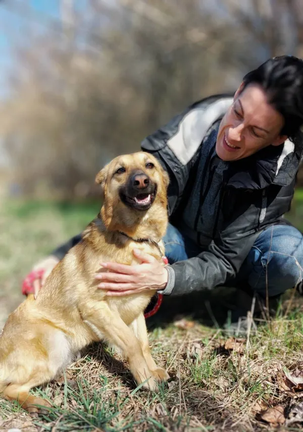 Oddam psa, Częstochowa, Grabówka, 1 maja 2025 (5/5)