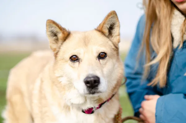 Oddam psa, Kielce, Kadzielnia, 1 maja 2025 (1/4)
