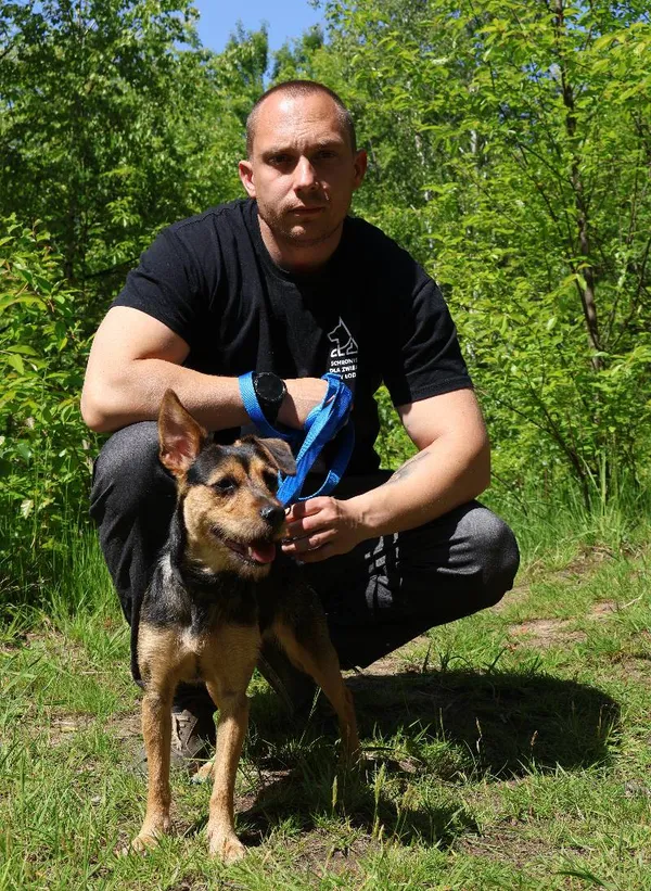 Znaleziono psa, Łódź, 30 kwietnia 2025 (5/5)