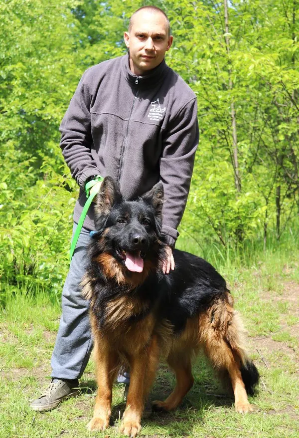 Znaleziono psa, Łódź, 2 maja 2025 (3/5)