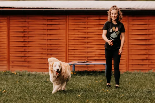 Pies do adopcji, Czartki, 4 maja 2025 (2/5)