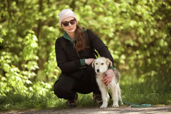 Pies do adopcji, Nowodwór, 5 maja 2025 (3/5)