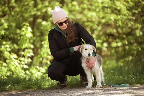 Pies do adopcji, Nowodwór, 5 maja 2025 (5/5)